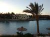 Kafr El Gouna (Tammr Henna, Downtown) 293